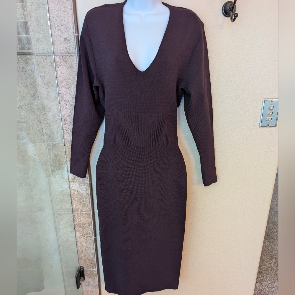 NWT Express Body-Con Purple V Neck Long Sleeve Dress Cutout Back Women's Medium